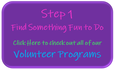 Volunteer Programs Page