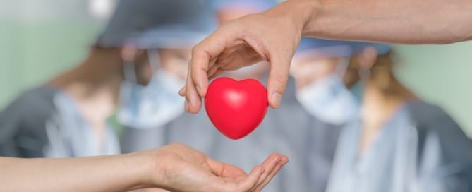 The Facts and Figures About Organ Donation