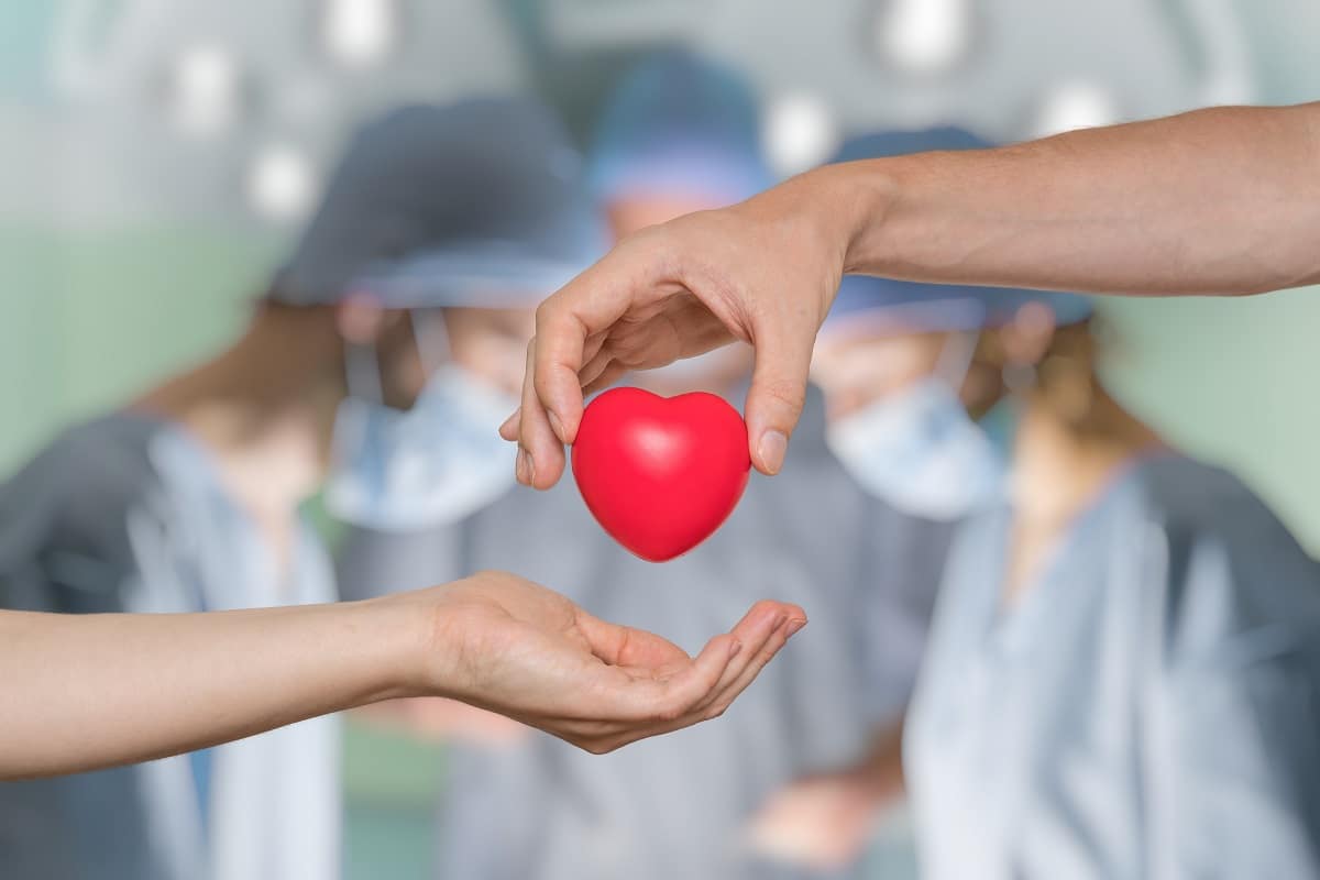 The Facts and Figures About Organ Donation